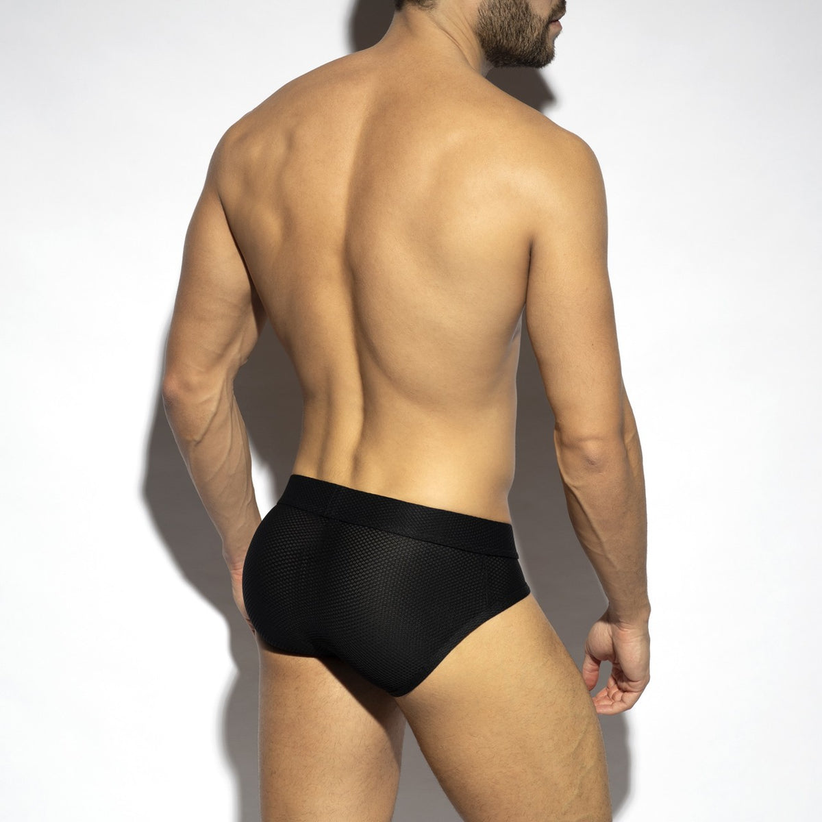 BEE NEST BRIEF