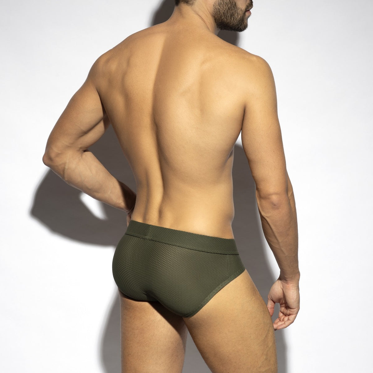 BEE NEST BRIEF