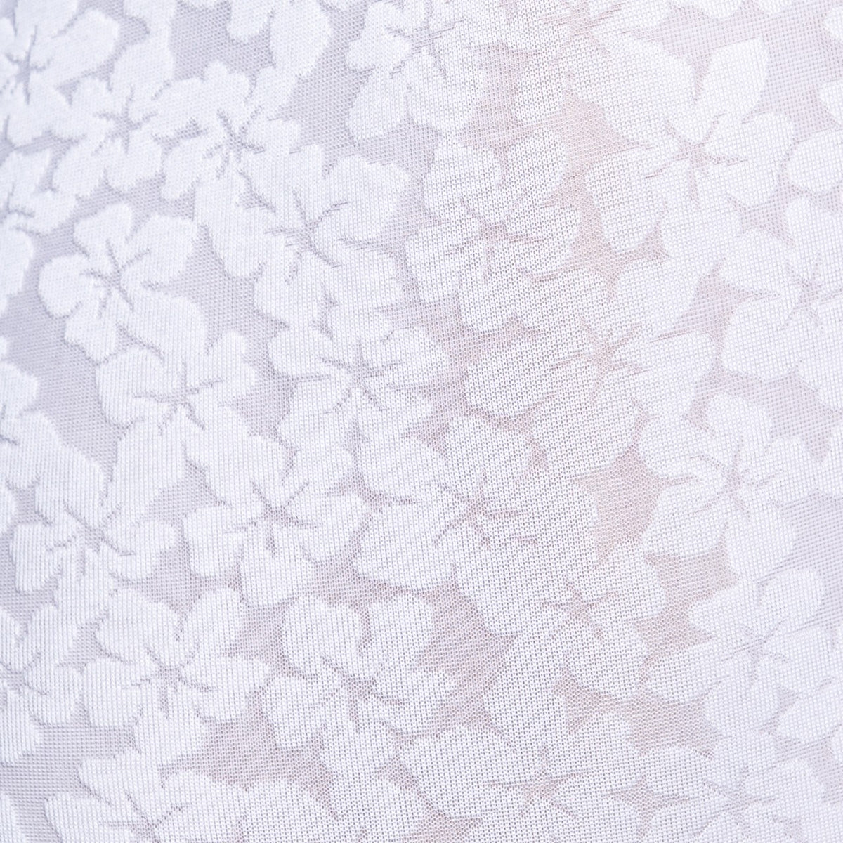 DAISY FLOWER BRIEF
